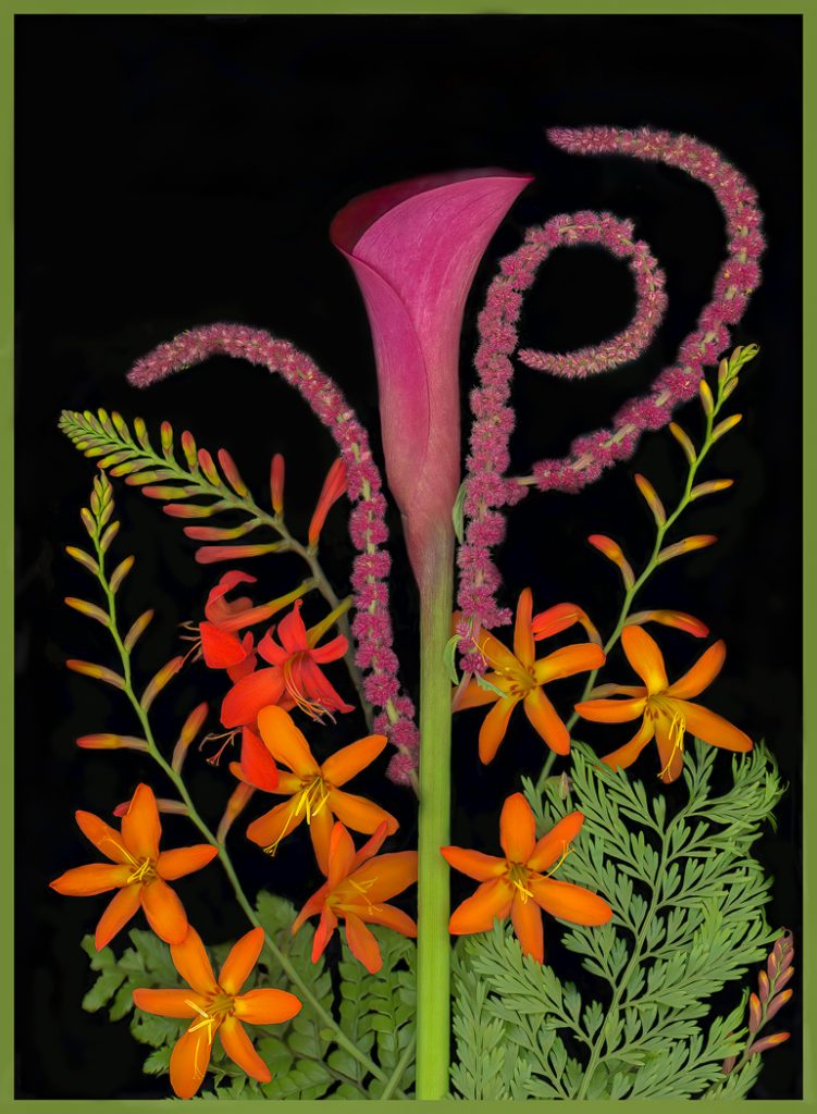 Flower Power - Alana Starkweather